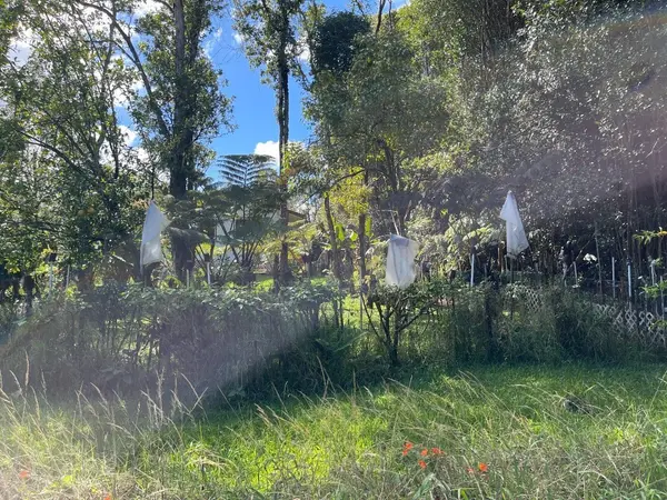 Volcano, HI 96785,18-4119 MAUNA KEA DR