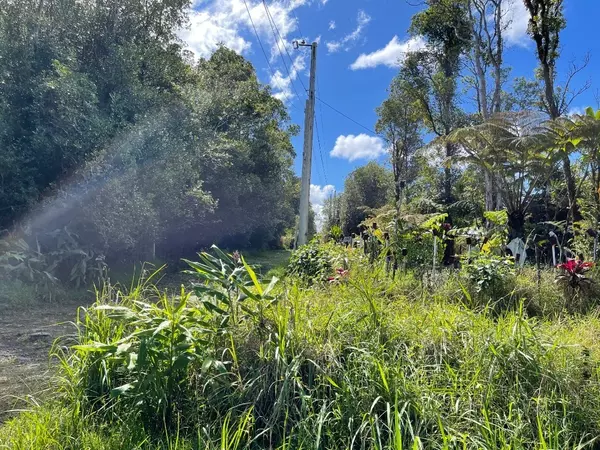 Volcano, HI 96785,18-4119 MAUNA KEA DR