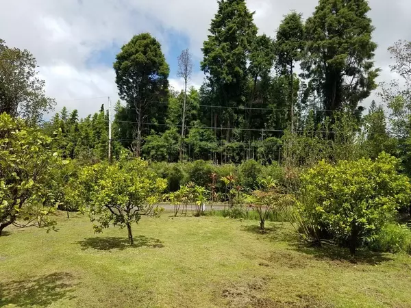 ROAD 8, Volcano, HI 96785