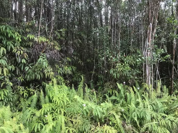 Volcano, HI 96785,11-2014 KALEPONI DR