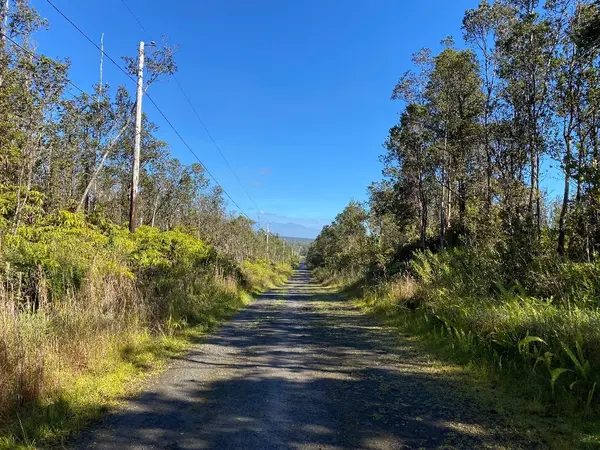 Volcano, HI 96785,KAHAUALEA RD