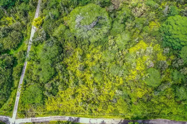 Kurtistown, HI 96760,POOULI RD (ROAD 10)