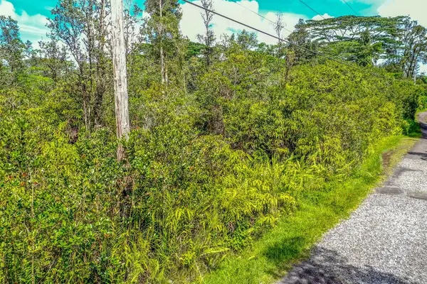 Kurtistown, HI 96760,POOULI RD (ROAD 10)