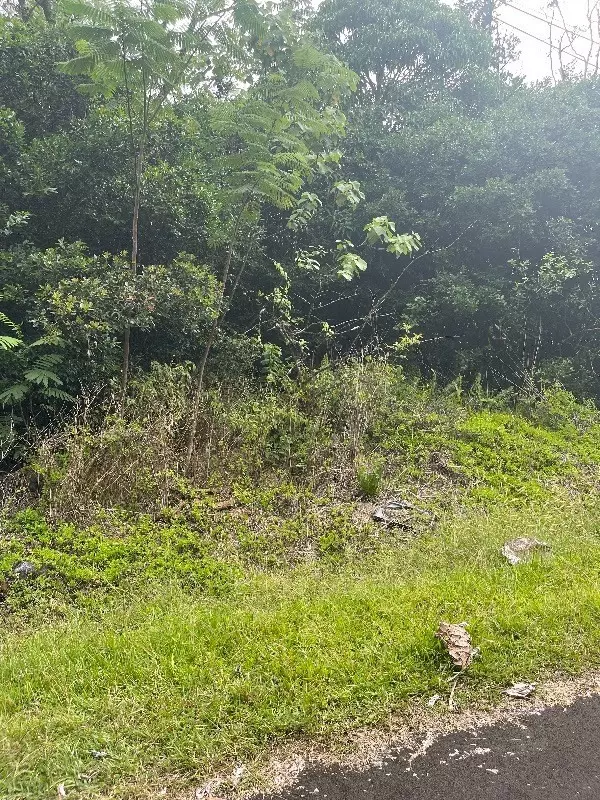 N MANINI ST, Pahoa, HI 96778