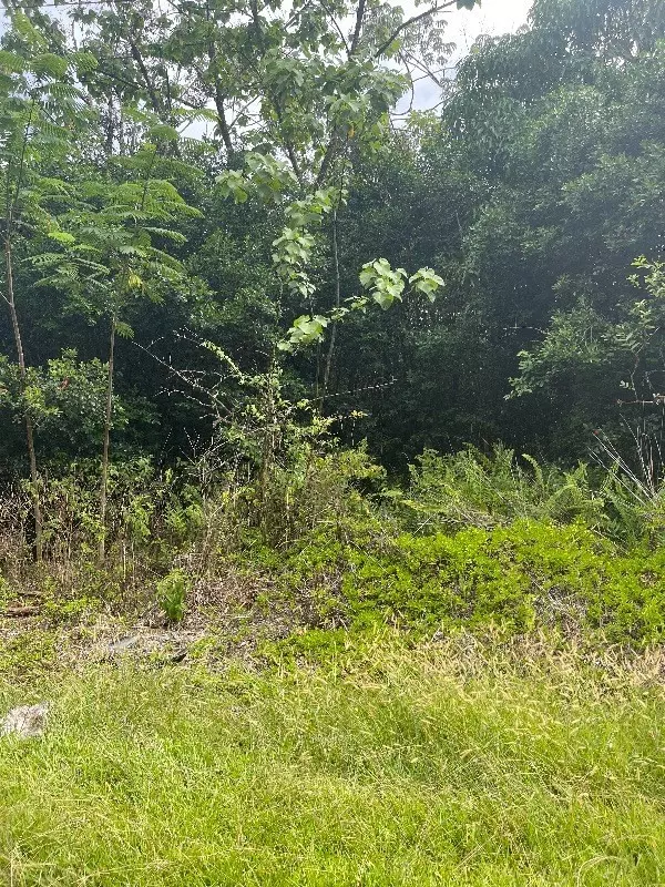 Pahoa, HI 96778,N MANINI ST