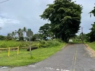 Hilo, HI 96720,28 MACHIDA LN