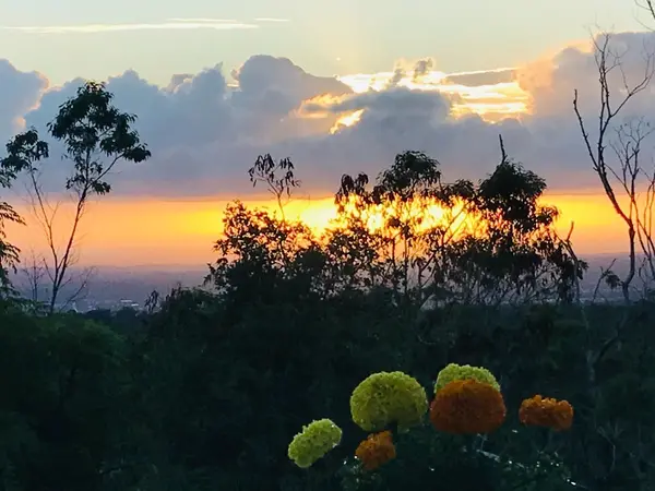 Hilo, HI 96720,25-212 PUKANA LA ST