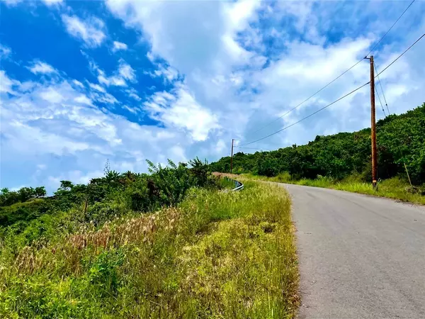 Captain Cook, HI 96704