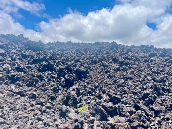 Ocean View, HI 96737,KING KALAKAUA LN