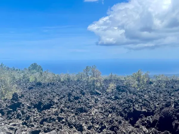 Ocean View, HI 96737,Lot 12 Lehua Ln