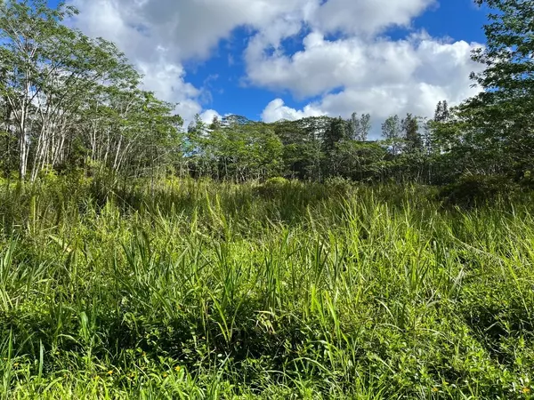 14-3501 KONA RD, Pahoa, HI 96778