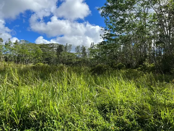Pahoa, HI 96778,14-3501 KONA RD