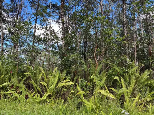 Pahoa, HI 96778,14-3501 KONA RD