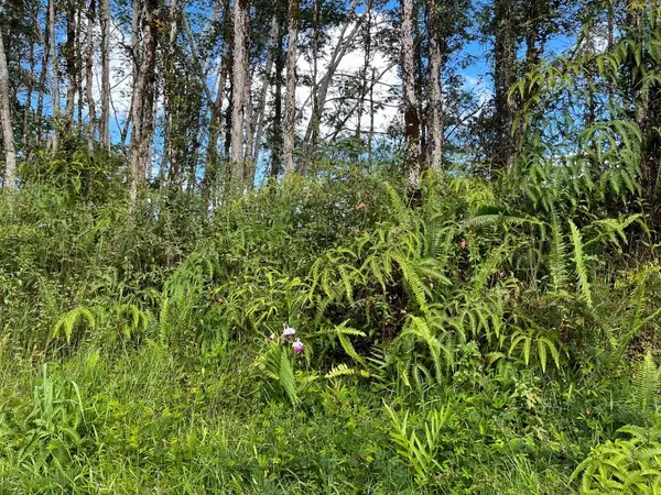 Pahoa, HI 96778,14-3501 KONA RD