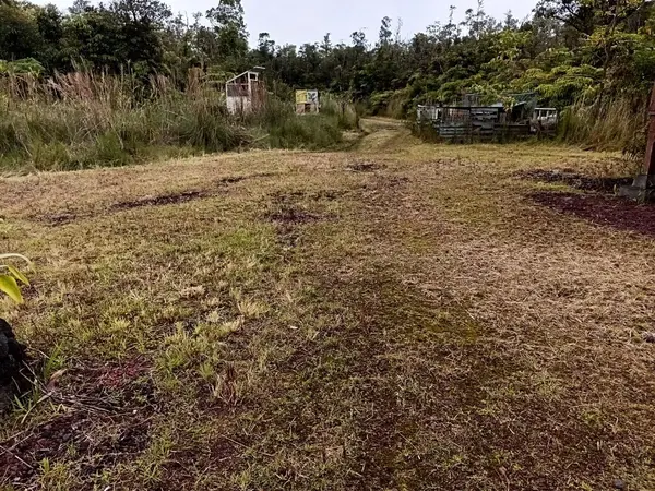 Volcano, HI 96785,11-2080 MAKOA RD