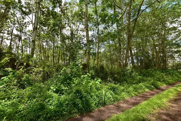 PAHOA RD, Pahoa, HI 96778