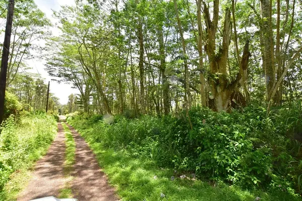 Pahoa, HI 96778,PAHOA RD