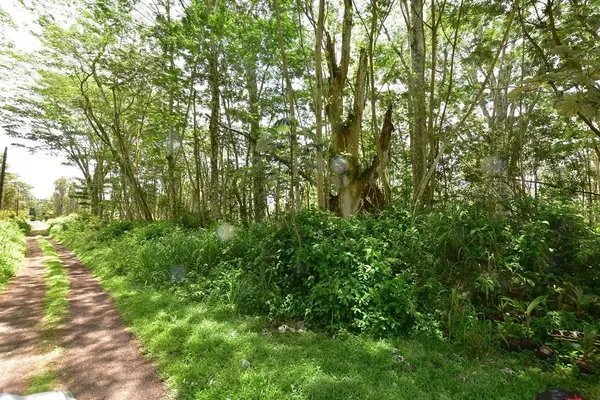 Pahoa, HI 96778,PAHOA RD