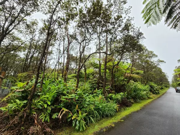 5TH ST, Volcano, HI 96785