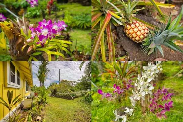 Honokaa, HI 96727,45-141 KIA MANU RD