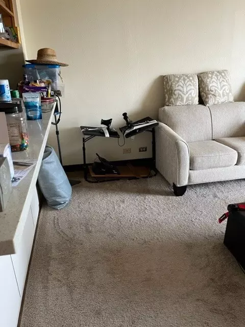 Hilo, HI 96720,101 AUPUNI ST #619