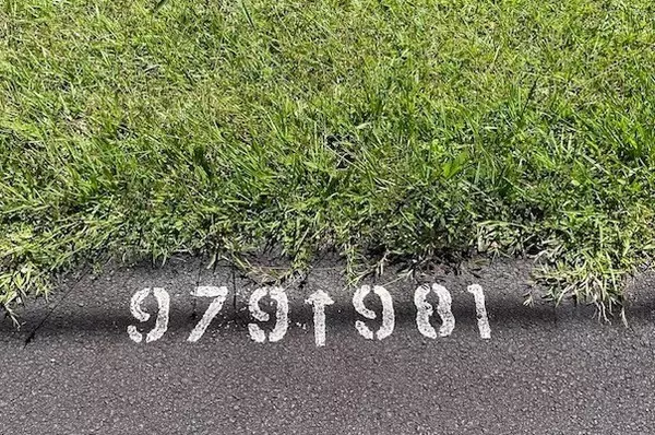 Pahoa, HI 96778,S MAIKOIKO ST