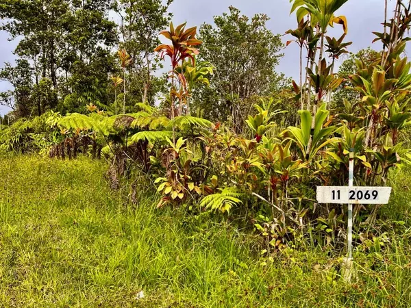 11-2069 OMEKA RD, Volcano, HI 96785