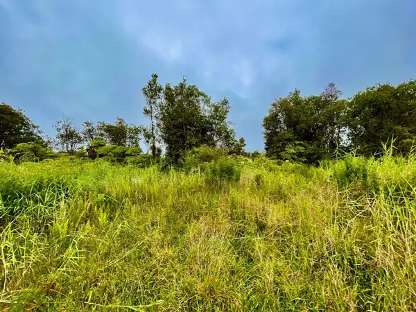 Volcano, HI 96785,11-2069 OMEKA RD