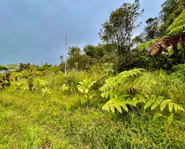 Volcano, HI 96785,11-2069 OMEKA RD