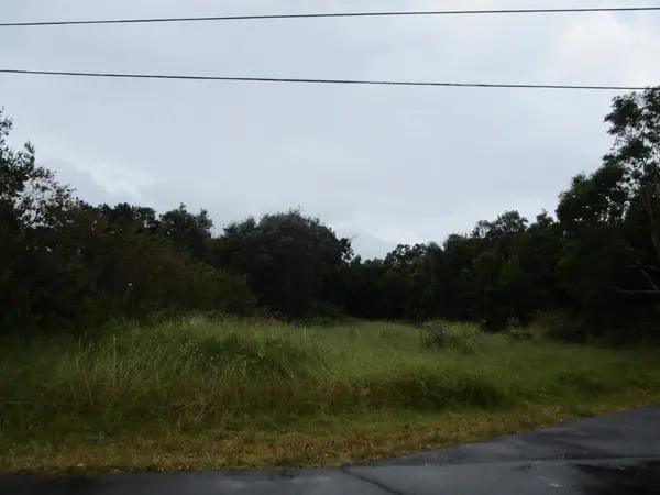 99-7727 KAOHELO PL, Volcano, HI 96785