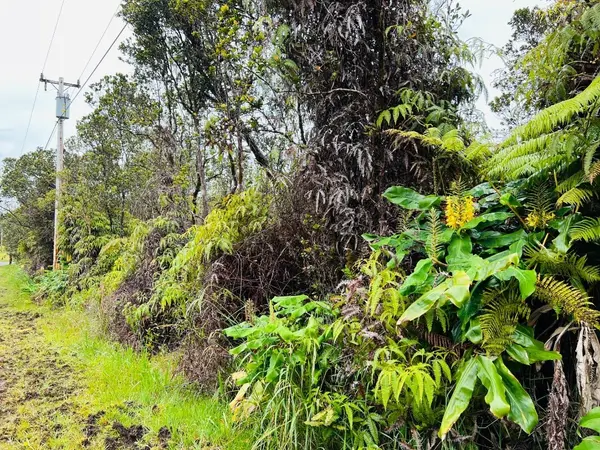 Volcano, HI 96785,11-3051 ANUHEA ST