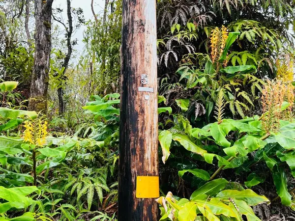 Volcano, HI 96785,11-3051 ANUHEA ST