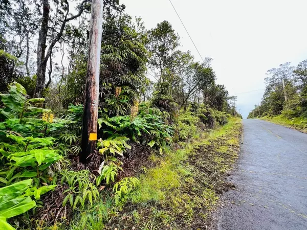 Volcano, HI 96785,11-3051 ANUHEA ST