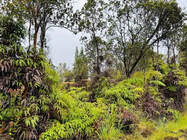 Volcano, HI 96785,11-3051 ANUHEA ST