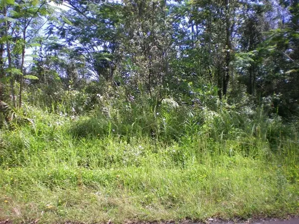 ROAD 10 (POOULI), Kurtistown, HI 96760