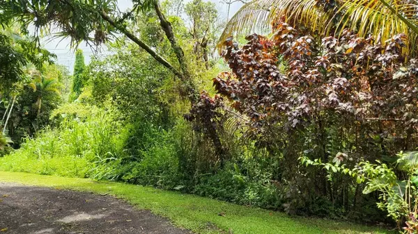 MAUI RD, Pahoa, HI 96778