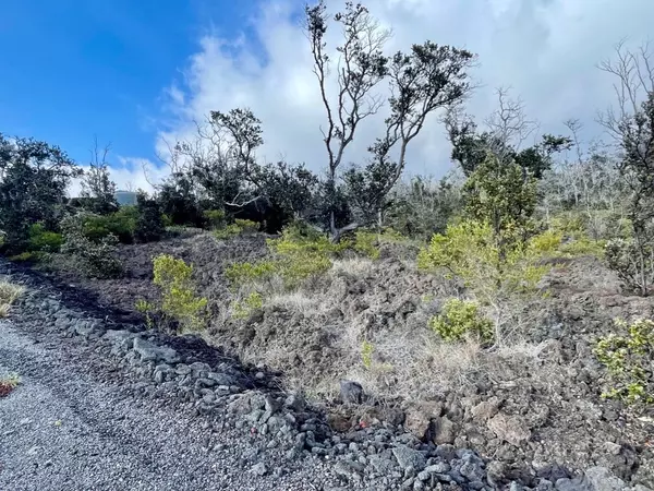 Ocean View, HI 96737,LOT 19 PLUMERIA LN