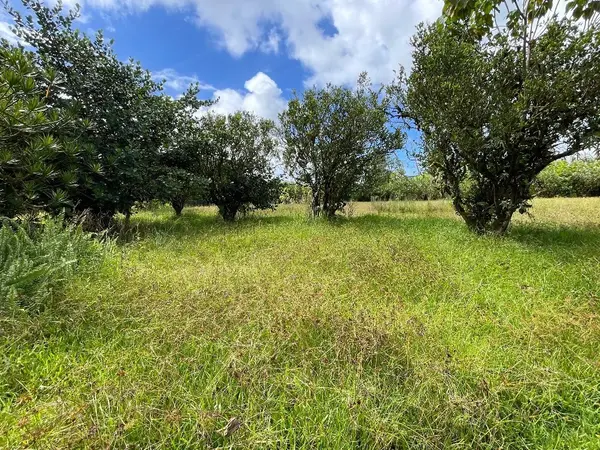 Pahoa, HI 96778,15-3061 NAELE RD