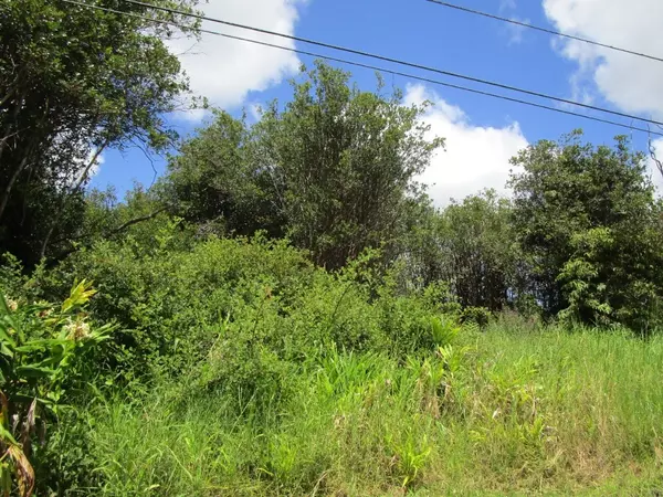 KOMO ST, Volcano, HI 96785