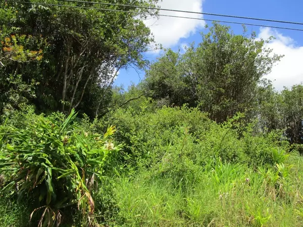 Volcano, HI 96785,KOMO ST