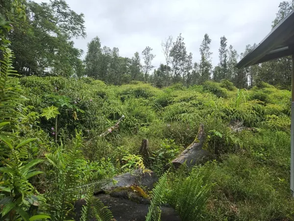 12-538 DIAMOND HEAD DRIVE, Pahoa, HI 96778