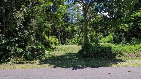 15-2713 N KALA ST, Pahoa, HI 96778