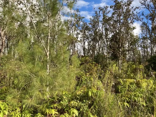 KALEPONI DR, Volcano, HI 96785