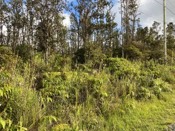 KALEPONI DR, Volcano, HI 96785