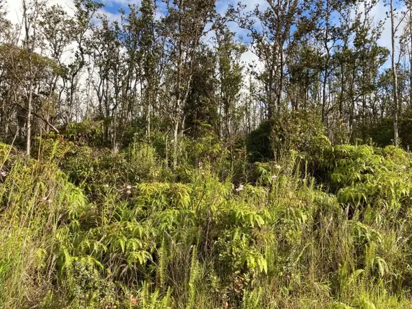 KALEPONI DR, Volcano, HI 96785