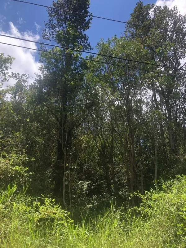 18-4123 HINUHINU ST, Volcano, HI 96785