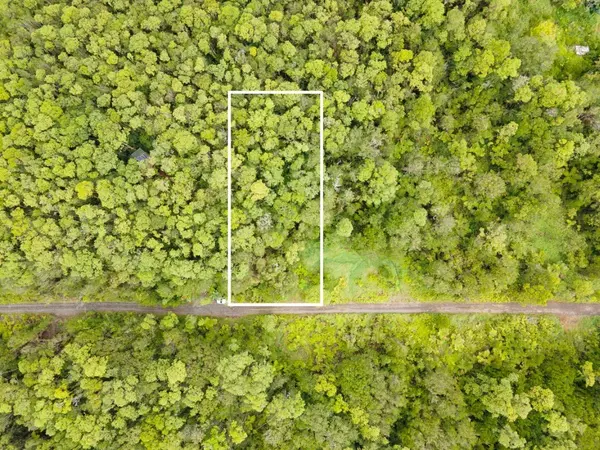 ROAD 5, Volcano, HI 96785