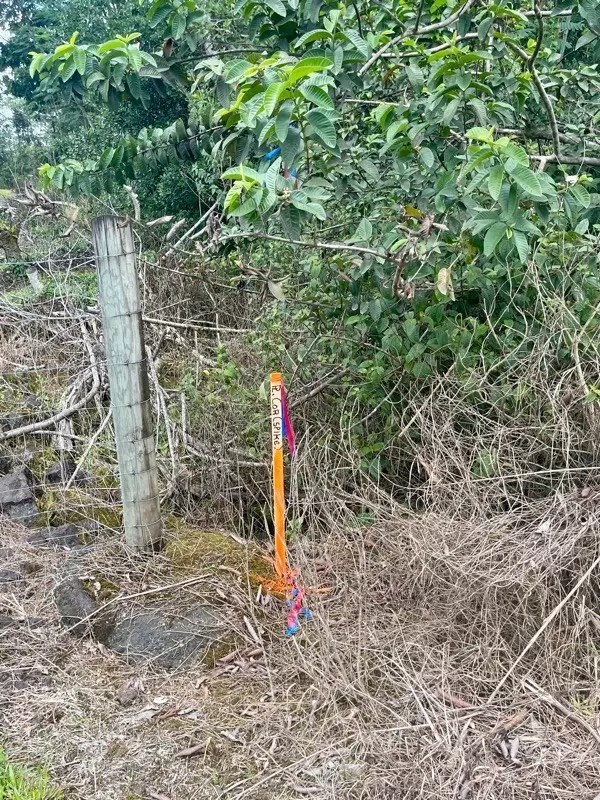 Keaau, HI 96749,19TH AVE (MANAKO)