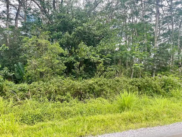 Keaau, HI 96749,19TH AVE (MANAKO)