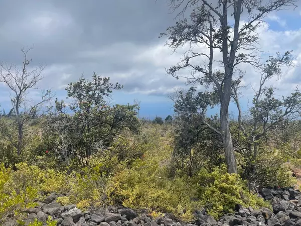 Ocean View, HI 96737,OCEAN VIEW PKWY